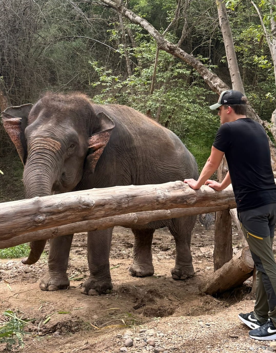 Bush Camp Chiang Mai