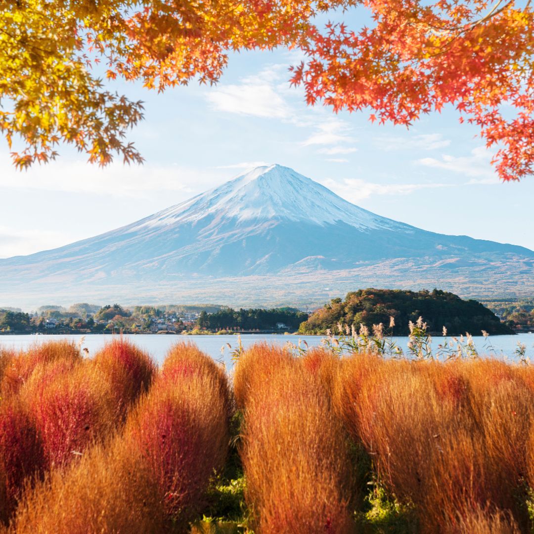 A Taste of Japan & Kawaguchiko