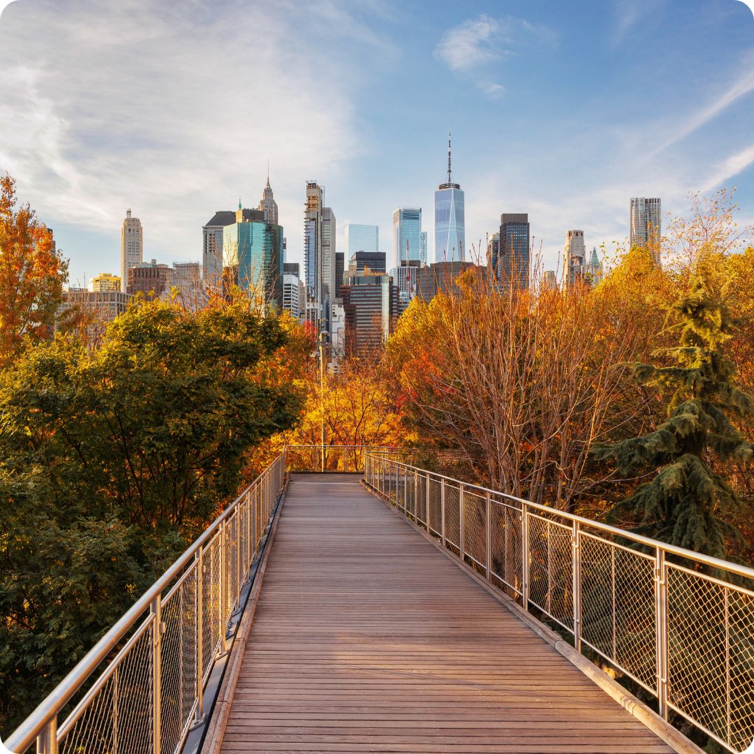 NY herfst